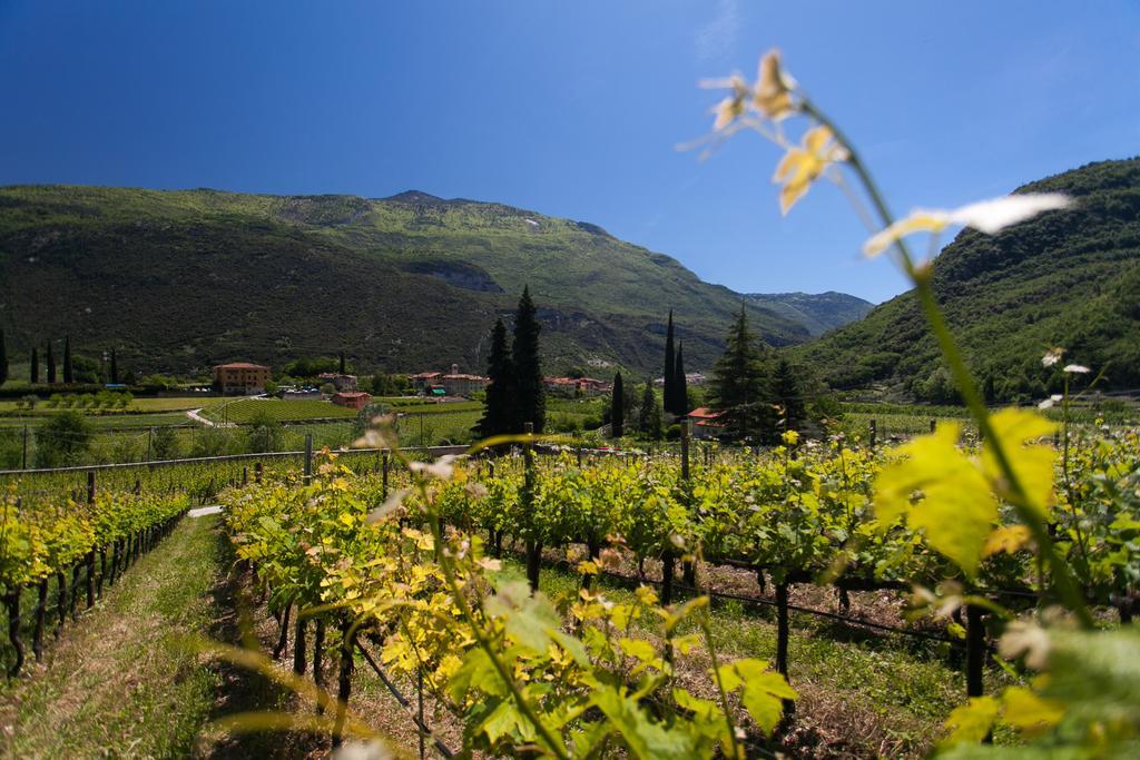 Agriturismo Maso Lizzone Дро Екстер'єр фото
